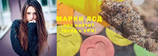 прущие грибы Алексеевка