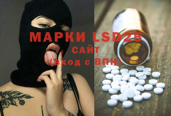 прущие грибы Алексеевка