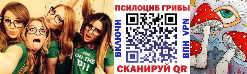 Псилоцибиновые грибы GOLDEN TEACHER Полтавская